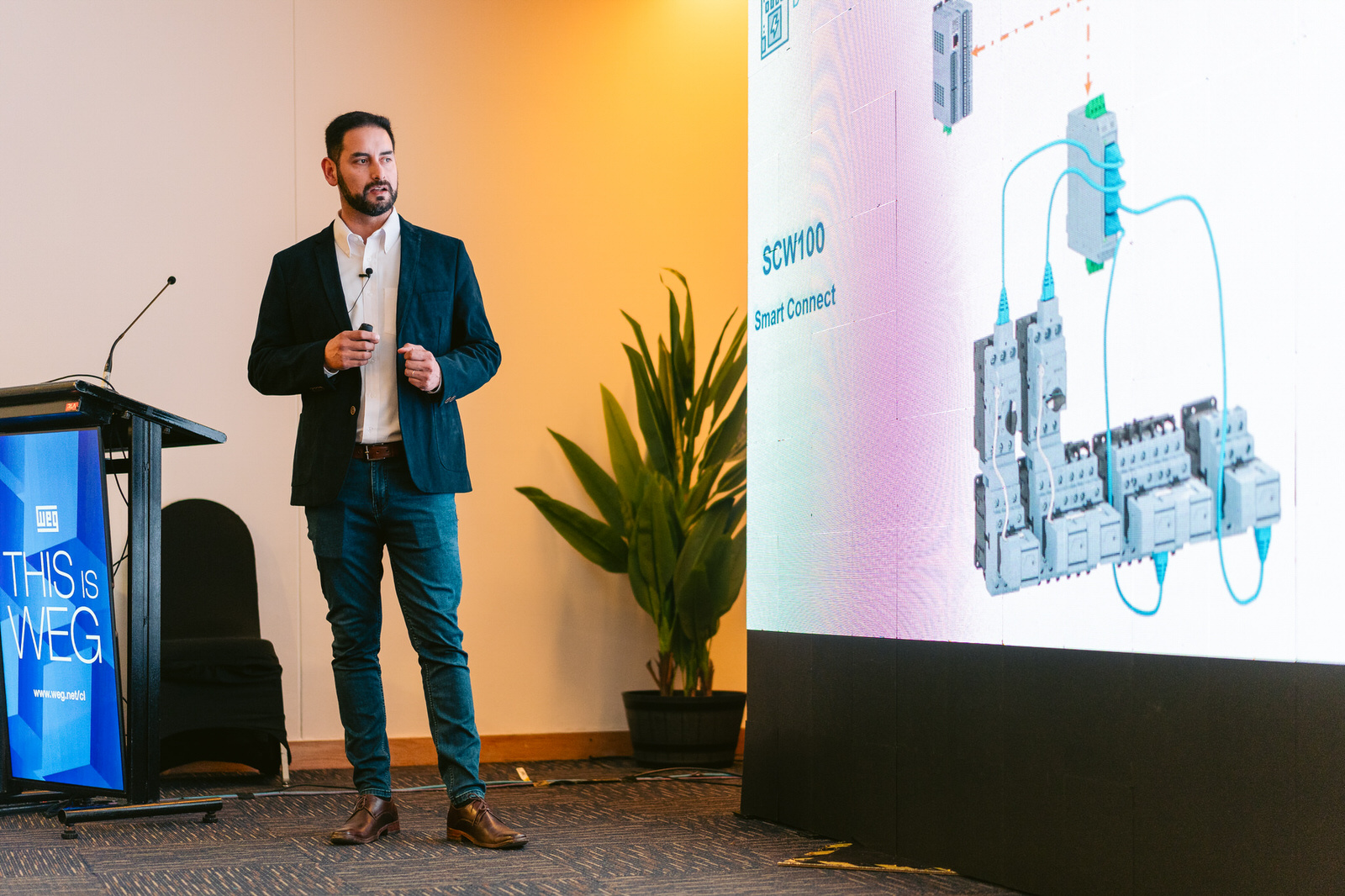 Ponente pantalla Seminario WEG Concepción