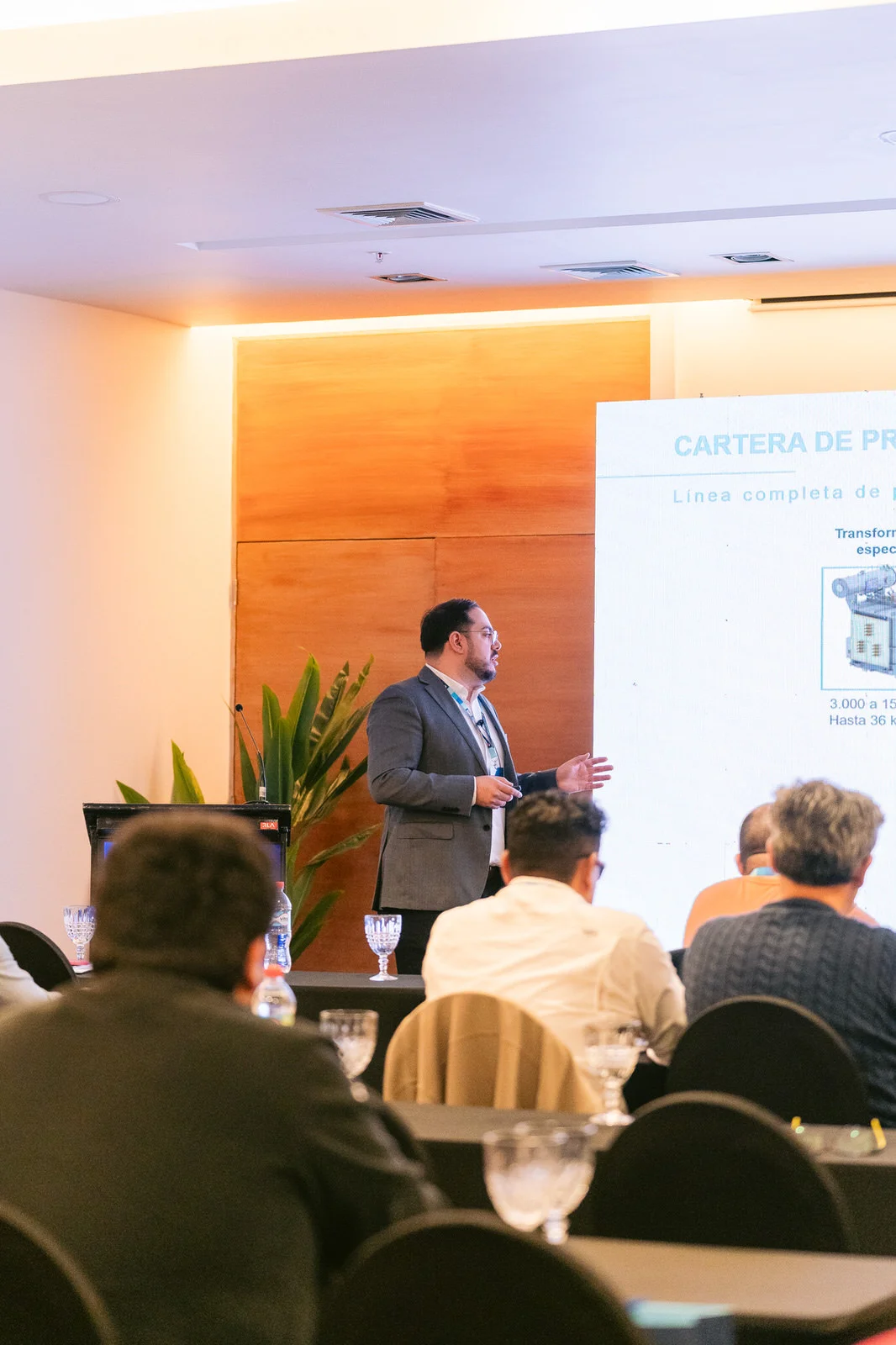 Ponente sala lateral 2 Seminario WEG Concepción